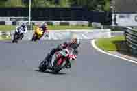 enduro-digital-images;event-digital-images;eventdigitalimages;mallory-park;mallory-park-photographs;mallory-park-trackday;mallory-park-trackday-photographs;no-limits-trackdays;peter-wileman-photography;racing-digital-images;trackday-digital-images;trackday-photos
